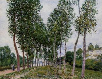 阿爾弗萊德 西斯萊 Lane of Poplars on the Banks of the Loing